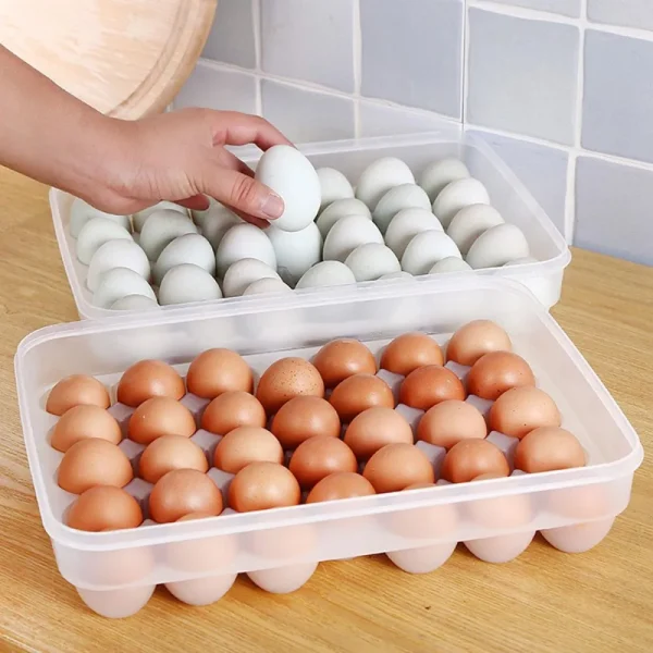 Egg Storage Box